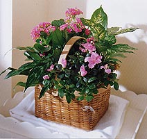 Floral Arrangement