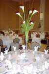 Flower arrangements - Click to enlarge - Say it with beautiful flowers or balloons from Magic Flowers, Inc., with hundreds of fresh cut flowers for any special occasion. Located in Harwood Heights, Illinois.