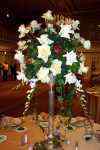 Flower arrangements - Click to enlarge - Say it with beautiful flowers or balloons from Magic Flowers, Inc., with hundreds of fresh cut flowers for any special occasion. Located in Harwood Heights, Illinois.