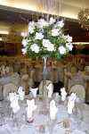 Flower arrangements - Click to enlarge - Say it with beautiful flowers or balloons from Magic Flowers, Inc., with hundreds of fresh cut flowers for any special occasion. Located in Harwood Heights, Illinois.
