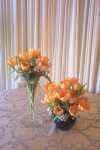 Flower arrangements - Click to enlarge - Say it with beautiful flowers or balloons from Magic Flowers, Inc., with hundreds of fresh cut flowers for any special occasion. Located in Harwood Heights, Illinois.