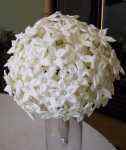 Flower arrangements - Click to enlarge - Say it with beautiful flowers or balloons from Magic Flowers, Inc., with hundreds of fresh cut flowers for any special occasion. Located in Harwood Heights, Illinois.