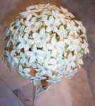 Flower arrangements - Click to enlarge - Say it with beautiful flowers or balloons from Magic Flowers, Inc., with hundreds of fresh cut flowers for any special occasion. Located in Harwood Heights, Illinois.