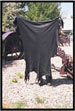Tanned Hide - Black