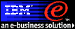 IBM an e-business solution